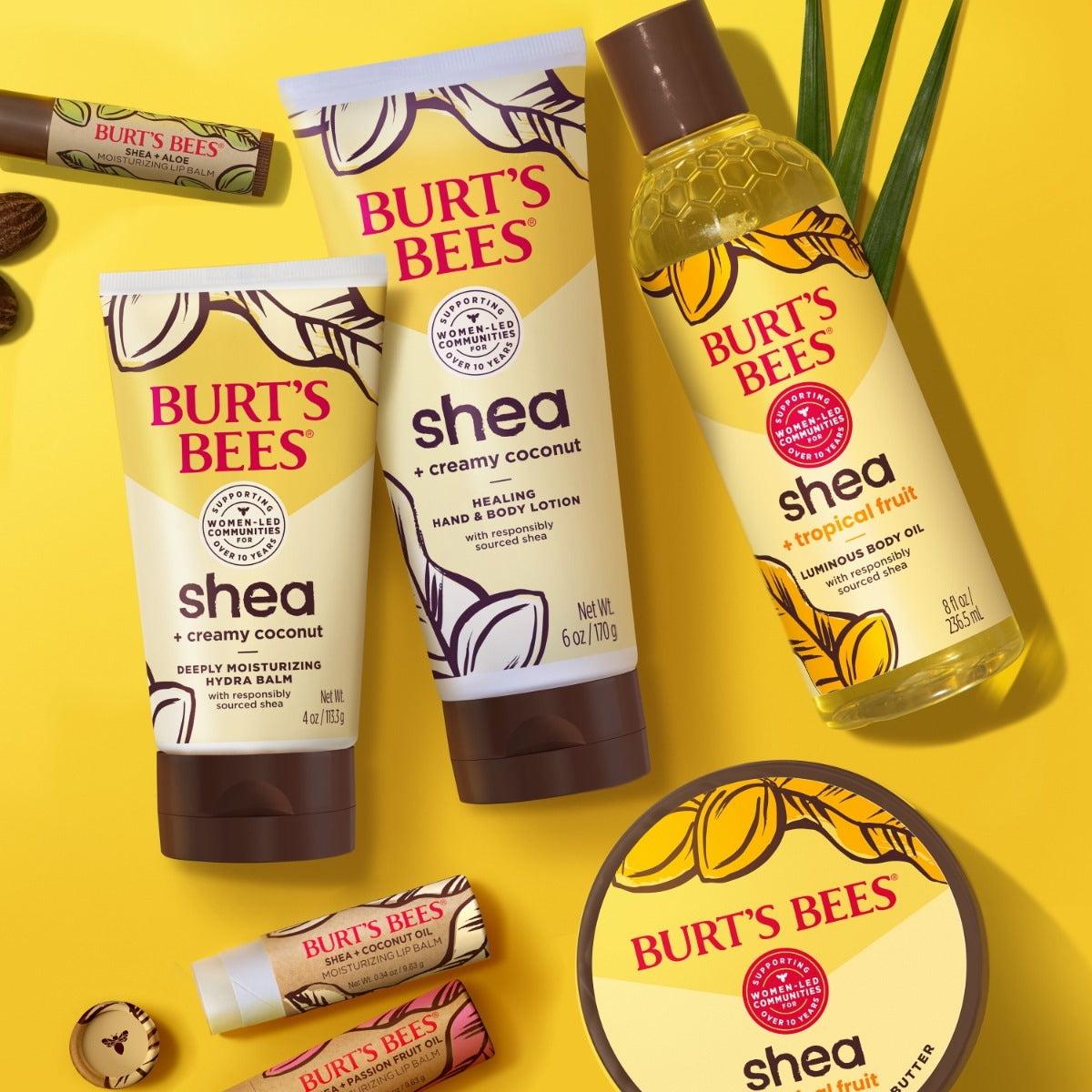Shea + Coconut Oil Moisturizing Lip Balm